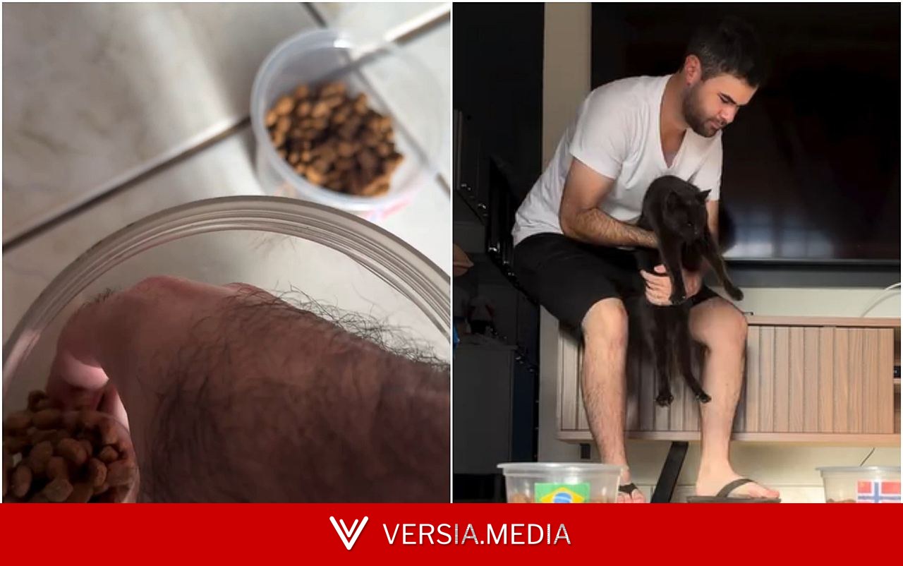 Gato vidente: tutor mostra bastidores de 'previsão' antes dos jogos; Milu aposta em vitória do Brasil sobre a Noruega