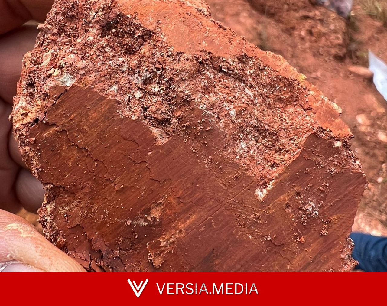 Após novos estudos, mineradora amplia estimativa do potencial de terras raras em jazida no Sul de Minas