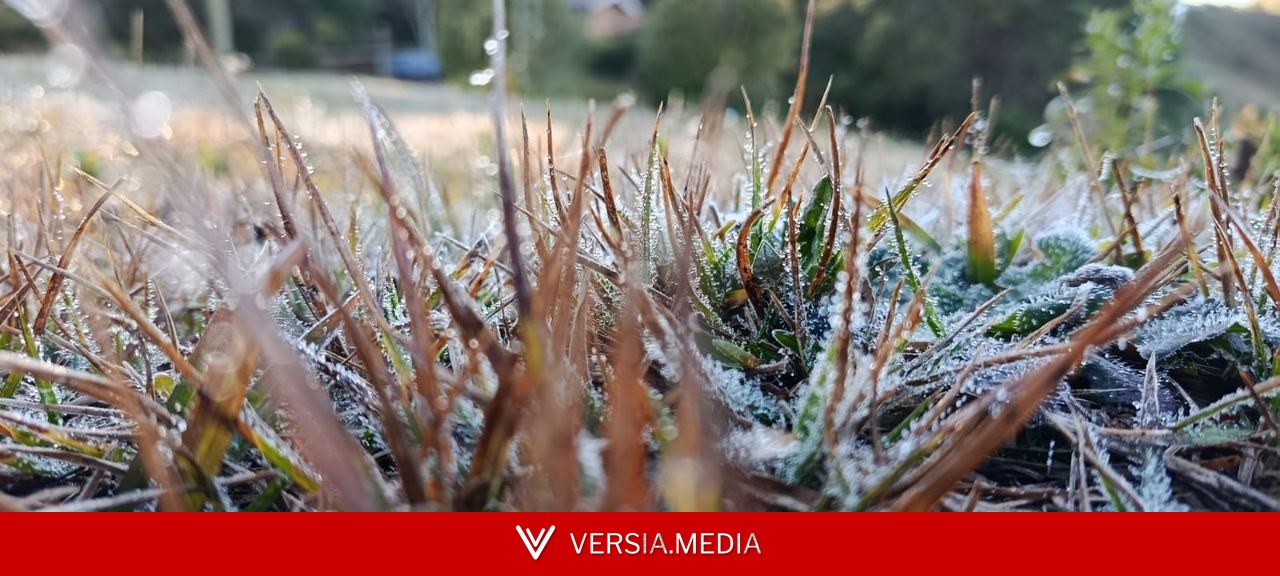 Às vésperas do inverno, Campos do Jordão registra nova manhã com geada e mínima de 3,1°C