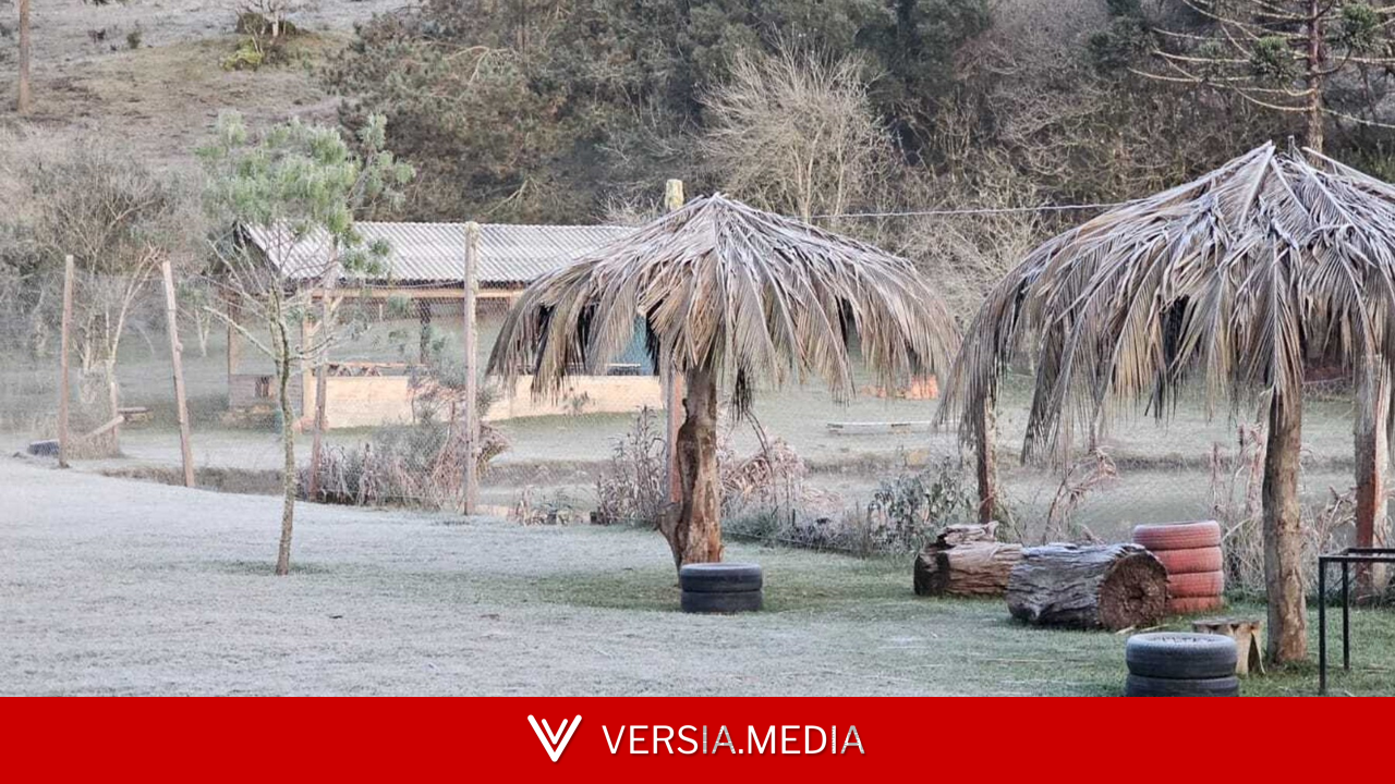 Paraná registra geadas, a menor temperatura do ano e sensação térmica de -8,4ºC; veja imagens e a previsão do tempo