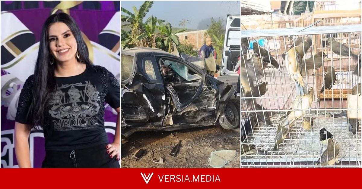 Você viu? Estudante de medicina morta a facadas, operação apreende 150 aves silvestres e homem morre a caminho do trabalho na BR-267