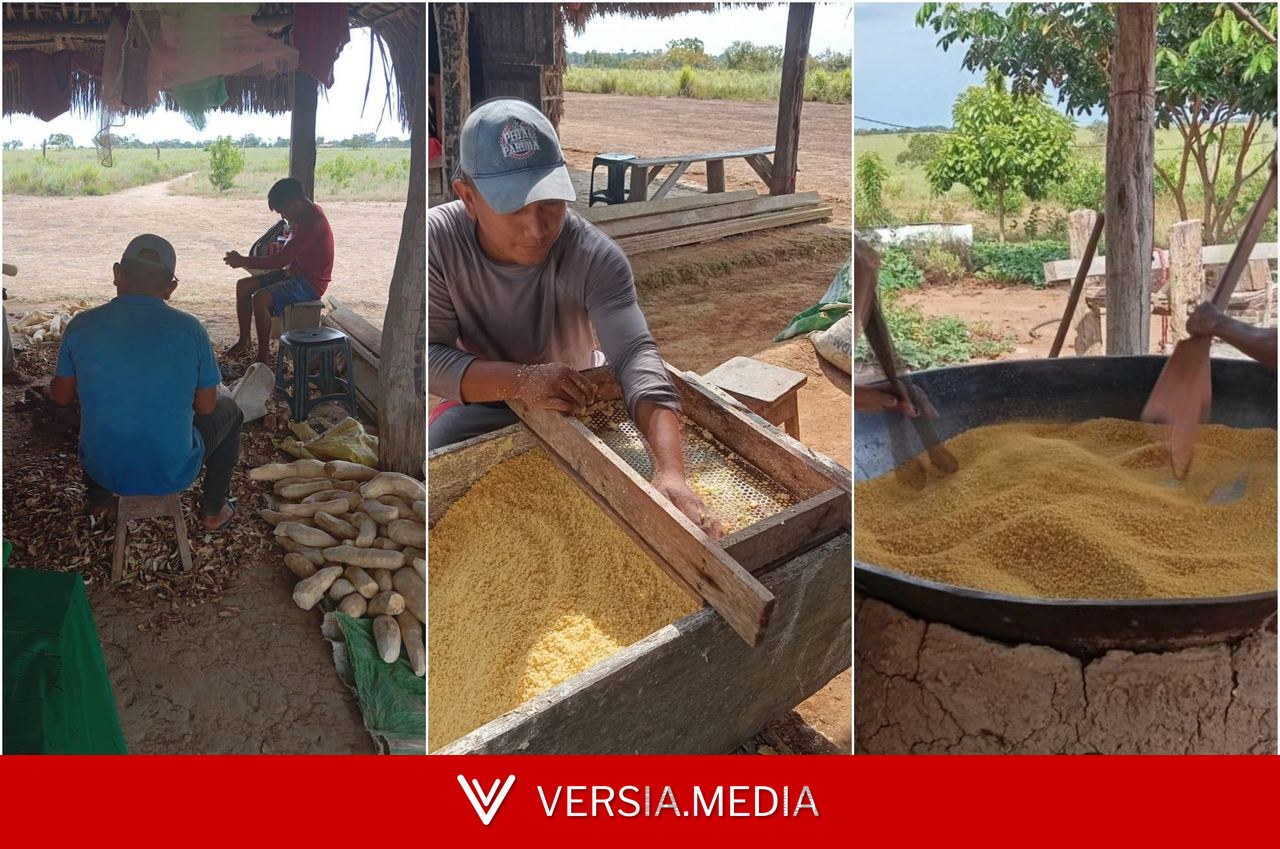 Comunidade indígena realiza Festejo que terá disputa de melhor farinha e damurida em Alto Alegre