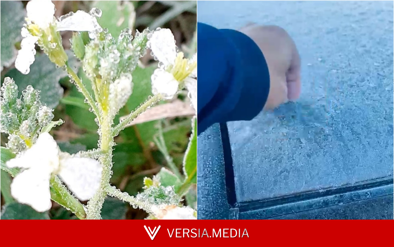Sul de Minas volta a registrar geada; Parque Nacional do Itatiaia, em Itamonte, marca -11,5°C