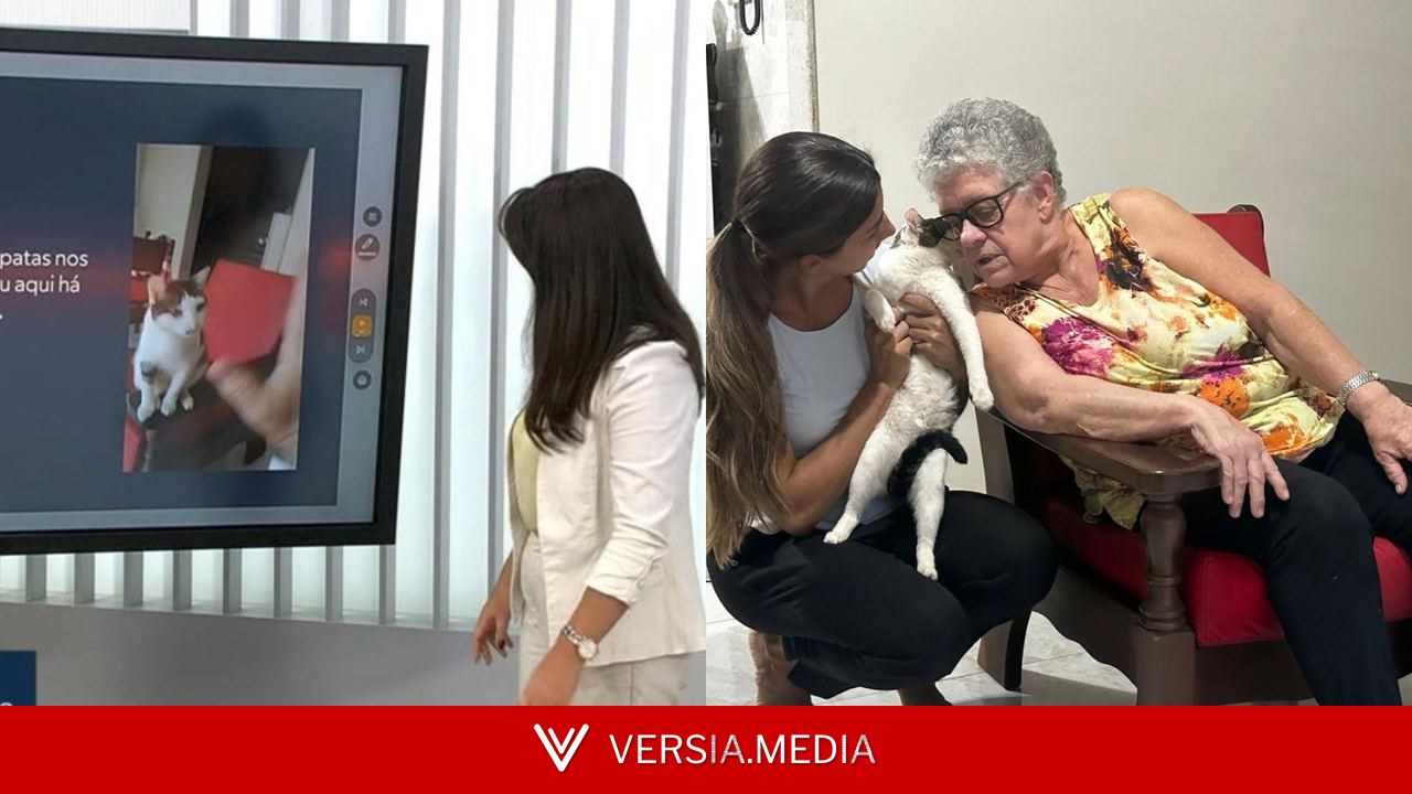 Gata desaparecida há mais de um ano é reconhecida em telejornal e aproxima antiga e nova tutoras em Uberlândia