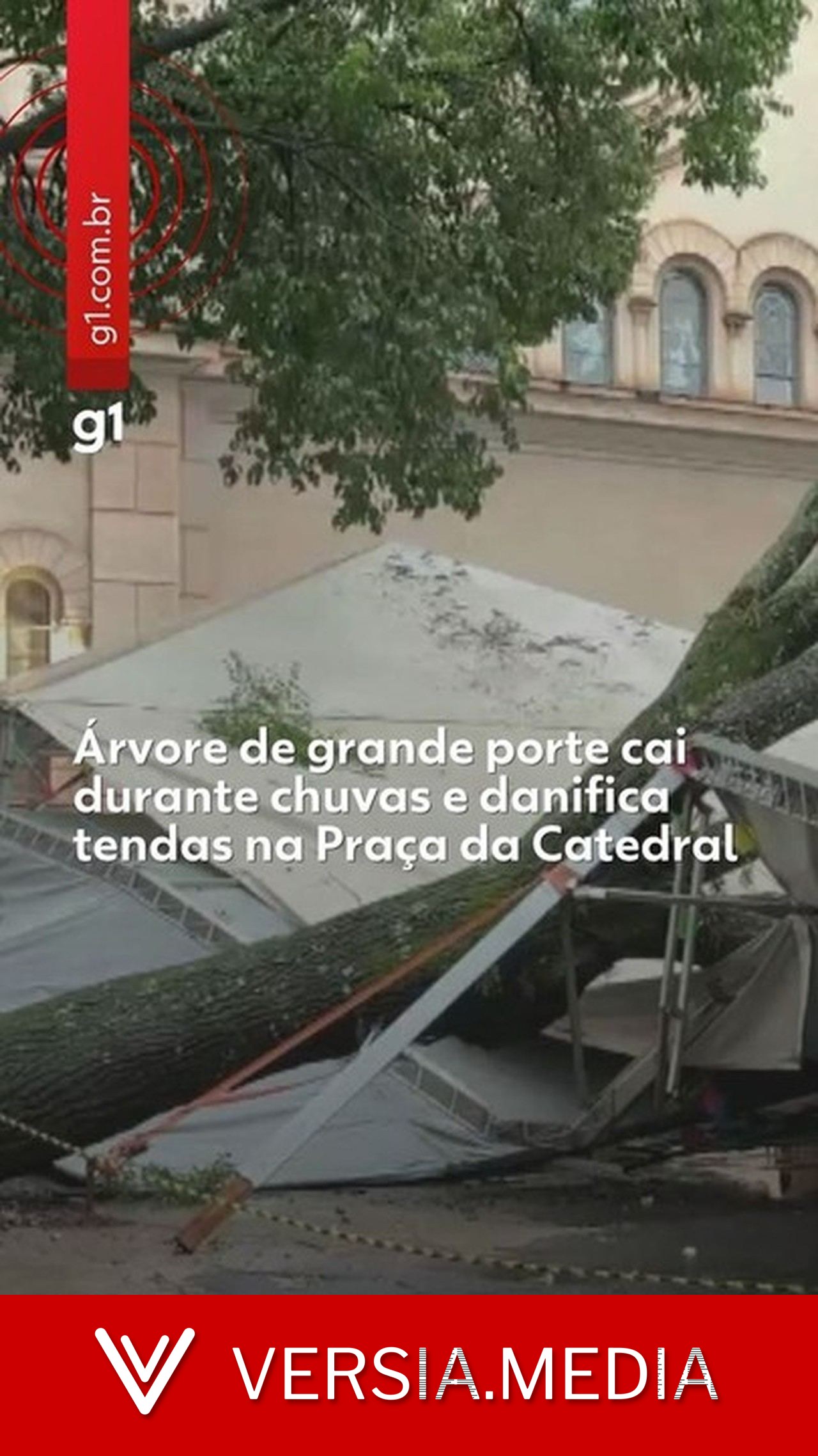 Árvore de grande porte cai durante chuvas e danifica tendas montadas para festas na Praça José Bonifácio em Piracicaba; veja imagens