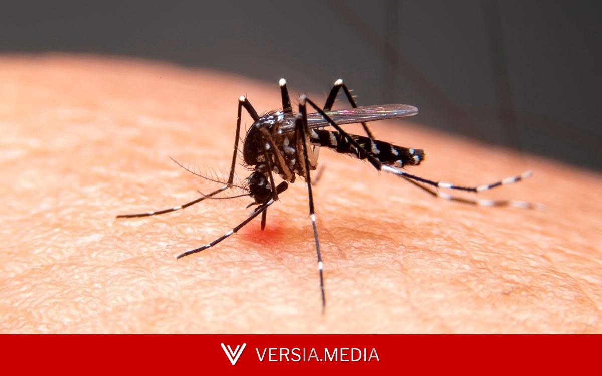 Taubaté confirma 9ª morte por dengue e mortes no Vale do Paraíba chegam a 14 em 2026
