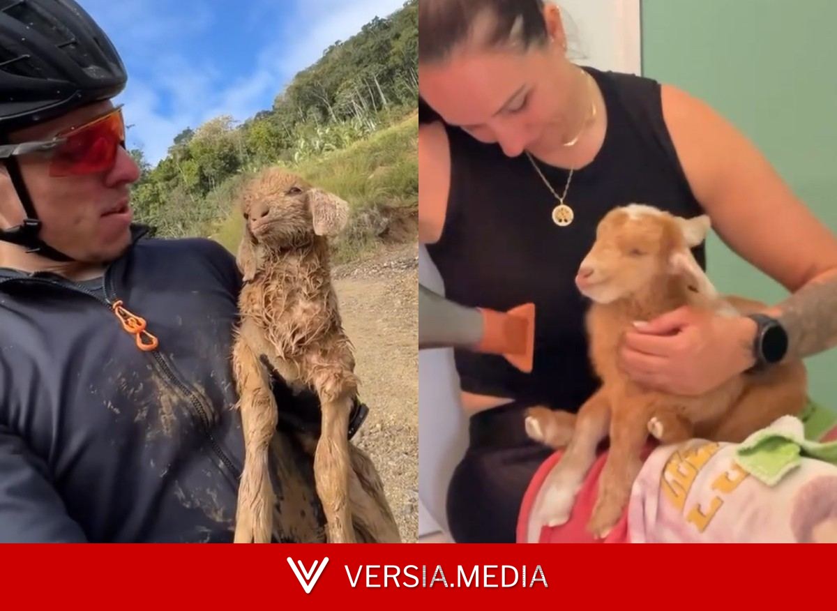 Ciclista resgata cabra coberta de lama e tremendo de frio durante treino em SC e viraliza: 'Vou te levar para casa'