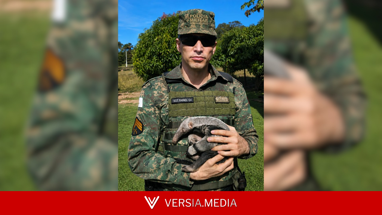 VÍDEO: Filhote de tamanduá-bandeira é resgatado após esperar pela mãe por três dias em fazenda de Uberlândia
