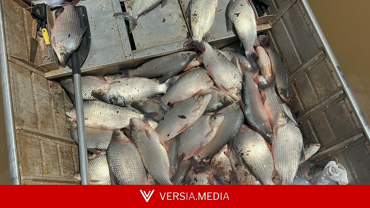 Amapá tem mais de 28 mil pescadores artesanais registrados, segundo pesquisa nacional