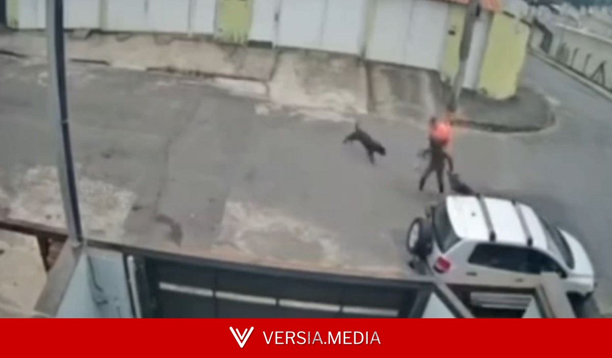 VÍDEO: Trabalhador salva cachorro e tutora de ataque de pitbull em Juiz de Fora